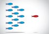 It’s the leader not the concept red fish with blue fish behind it