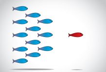 It’s the leader not the concept red fish with blue fish behind it