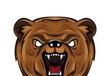 Be ready to wrestle the bear angry bear