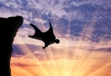 Leave the flying to the squirrels base jumping