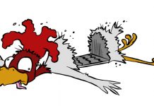 No escape from the fatal flaws Dead chicken